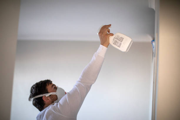 Best Same-Day Mold Removal  in Thonotosassa, FL